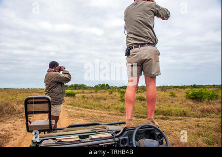 Un tracker e la guida alla ricerca di Big game al Phinda Private Game Reserve, una proprietà andBeyond riserva naturale in Sud Africa. Foto Stock