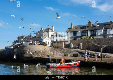 Una barca da pesca circondata da gabbiani in un assolato pomeriggio di primavera in Bude sulla North Cornwall Coast Inghilterra, Regno Unito Foto Stock