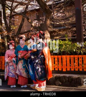 Un gruppo di Maiko o apprendista Geisha nel loro tradizionale costume colorato o kimono. Geisha intrattenere attraverso la tecnica tradizionale di ballo e canto Foto Stock