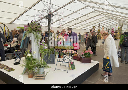 Persone Signore che guardano fiori arrangiamenti esporre a Spring Flower Show Harrogate North Yorkshire Inghilterra Regno Unito Foto Stock