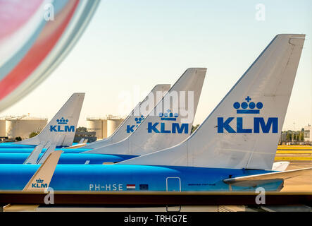 Impennaggi KLM all'Aeroporto di Amsterdam Schiphol, Noord-Holland, Paesi Bassi, Europa, Schiphol, NLD, Viaggi, Turismo, Viaggi Destinazione, visite turistiche, mare Foto Stock