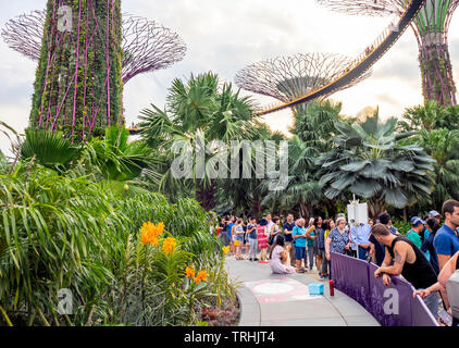 Coda di turisti in attesa di andare sulla passerella elevata nel Supertree Grove a giardini dalla Baia di Singapore. Foto Stock