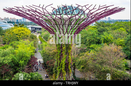 Traliccio in acciaio tettoia di un albero artificiale nel Supertree Grove a giardini dalla Baia di Singapore. Foto Stock