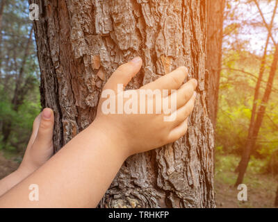 Ragazza toccando albero nella foresta in primavera Foto Stock