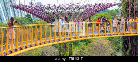 I turisti sulla passerella elevata OCBC Skyway tra due dei Supertrees nel Supertree Grove a giardini dalla Baia di Singapore. Foto Stock