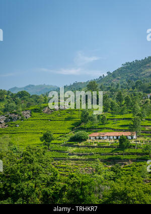 Bellissimo paesaggio con case singole in mezzo alla natura immagine viene preso a ooty tamilnadu mostrante la pace e la bellezza della natura. Foto Stock