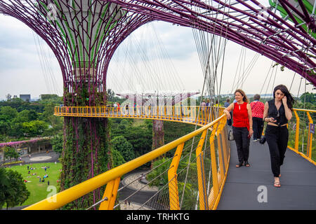 I turisti sulla passerella elevata OCBC Skyway tra due dei Supertrees nel Supertree Grove a giardini dalla Baia di Singapore. Foto Stock