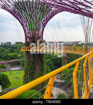 I turisti sulla passerella elevata OCBC Skyway tra due dei Supertrees nel Supertree Grove a giardini dalla Baia di Singapore. Foto Stock