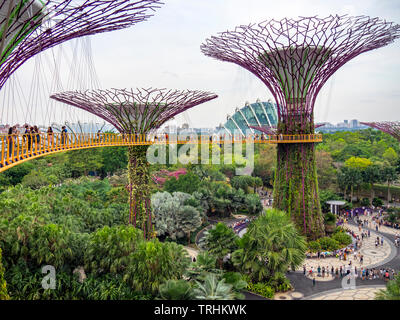 I turisti sulla passerella elevata OCBC Skyway tra due dei Supertrees nel Supertree Grove a giardini dalla Baia di Singapore. Foto Stock