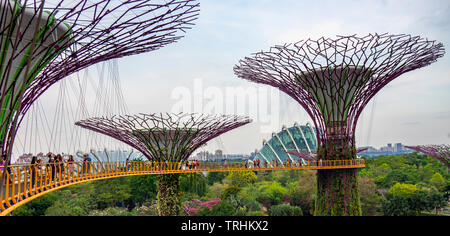 I turisti sulla passerella elevata OCBC Skyway tra due dei Supertrees nel Supertree Grove a giardini dalla Baia di Singapore. Foto Stock