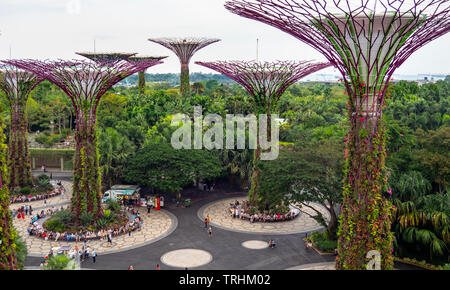 I turisti a passeggio tra gli alberi artificiali nel Supertree Grove giardino verticale a giardini dalla Baia di Singapore. Foto Stock