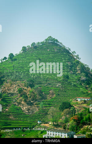 Colle isolato di western ghat immagine viene preso a ooty tamilnadu mostrante la pace e la bellezza della natura. Foto Stock