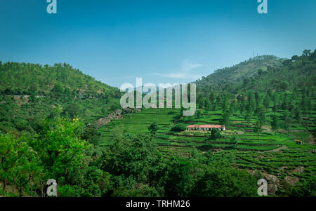 Case isolate con il bel paesaggio di tea garden immagine viene preso a ooty tamilnadu mostrante la pace e la bellezza della natura. Foto Stock