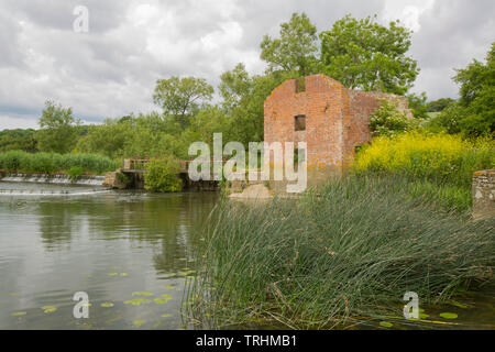 Le rovine del Mulino di taglio nei primi giorni di giugno si affaccia il suo mulino stagno sul Dorset Stour fiume sopra Sturminster Newton. Il mulino è caduto in derelection Foto Stock