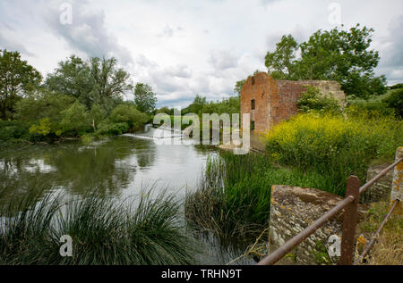 Le rovine del Mulino di taglio nei primi giorni di giugno si affaccia il suo mulino stagno sul Dorset Stour fiume sopra Sturminster Newton. Il mulino è caduto in derelection Foto Stock