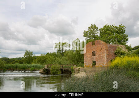 Le rovine del Mulino di taglio nei primi giorni di giugno si affaccia il suo mulino stagno sul Dorset Stour fiume sopra Sturminster Newton. Il mulino è caduto in derelection Foto Stock