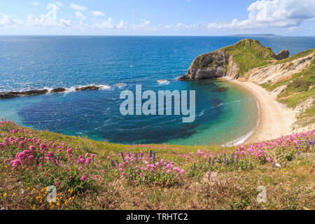 Man o war bay nei pressi di porta di Durdle, Jurassic Coast, south coast, Dorset, England, Regno Unito, GB Foto Stock