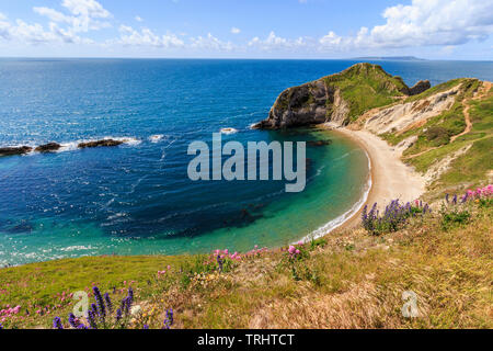 Man o war bay nei pressi di porta di Durdle, Jurassic Coast, south coast, Dorset, England, Regno Unito, GB Foto Stock