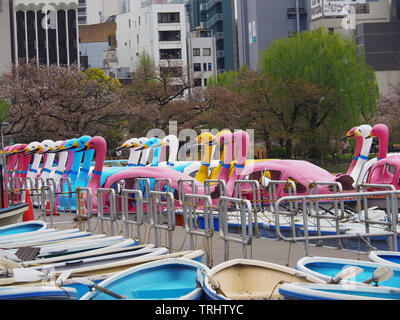 Swan pedale barca nel laghetto shinobazu al Parco di Ueno a Tokyo Foto Stock