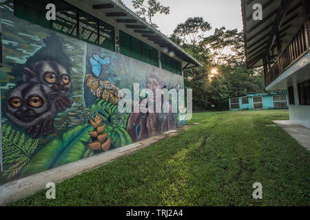 Il sole tramonta su Yasuni stazione di ricerca in Ecuador, un murale raffigurante la natura è visibile sul lato di un edificio. Foto Stock