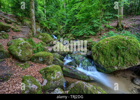 Wild romantico sentiero escursionistico lungo la famosa Gertelbach cascate, Foresta Nera, Germania Foto Stock