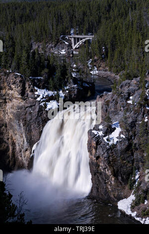 Yellowstone Fiume scorre su Upper Falls nel Grand Canyon di Yellowstone nel Parco Nazionale di Yellowstone Foto Stock