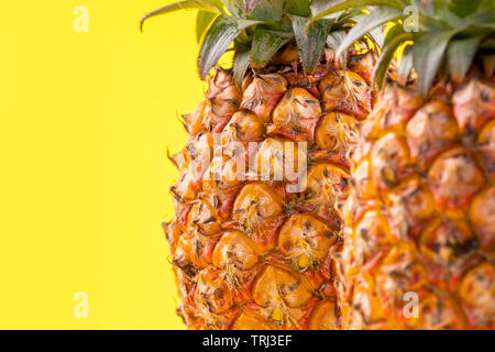 Bella di ananas fresco isolato su colore giallo brillante background, estate frutta di stagione idea design pattern concetto, spazio copia, close up Foto Stock