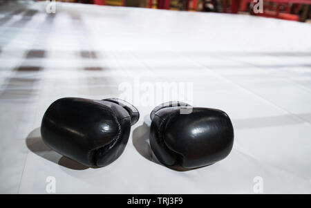 Due nero guantoni da pugilato giacciono su pugilato ring in bianco. L'ombra dell'anello cade sui pavimenti. La foto in orizzontale Foto Stock