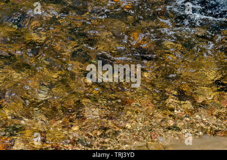 Interessante lo sfondo naturale di acqua con la riflessione al fiume Iskar, Lozen mountain, Bulgaria Foto Stock