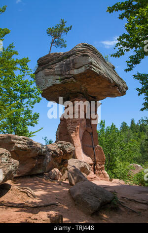 Devil's table (tedesco: Teufelstisch), rosso formazione di arenaria a riserva biospere Foresta del Palatinato, Hinterweidenthal, Renania-Palatinato, Germania Foto Stock