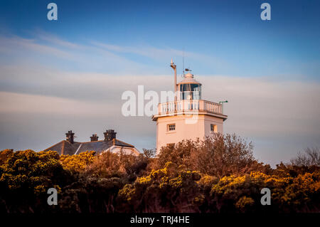 Cromer Lighthouse, Norfolk, Inghilterra a sunrise. Foto Stock