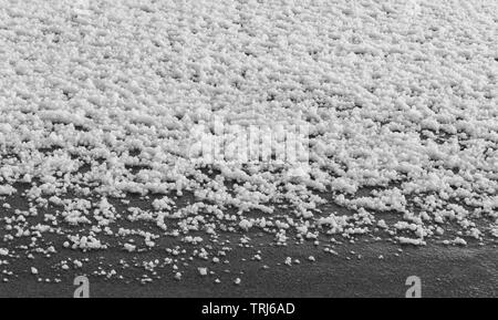 Chicchi di grandine sul terreno dopo la tempesta Foto Stock