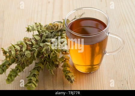 Bicchiere di tè con ramoscelli secchi ironwort verde, sideritus, per il tè alle erbe Foto Stock