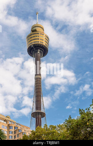 La bella Torre di Sydney, Australia, contro il cielo blu in una giornata di sole Foto Stock