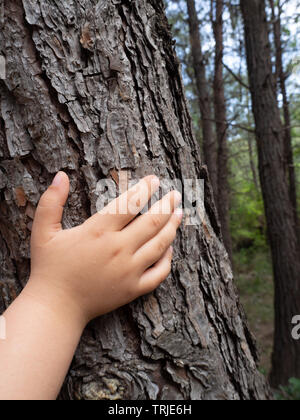 Ragazza toccando albero nella foresta in primavera Foto Stock