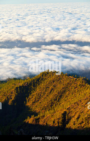 Mar de nubes desde el Paso de los Andenes. Parque Nacional de la Caldera de Taburiente. Isla La Palma. Provincia di Santa Cruz. Islas Canarias. España Foto Stock