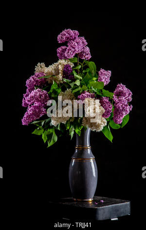Bianco e viola i rami di lillà in vaso su sfondo nero. Ramo di primavera di fioritura lilla sul tavolo con sfondo nero. Caduto il lilla flowe Foto Stock