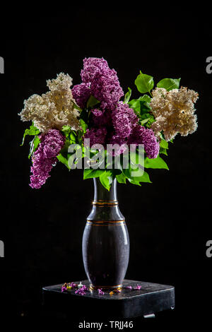 Bianco e viola i rami di lillà in vaso su sfondo nero. Ramo di primavera di fioritura lilla sul tavolo con sfondo nero. Caduto il lilla flowe Foto Stock
