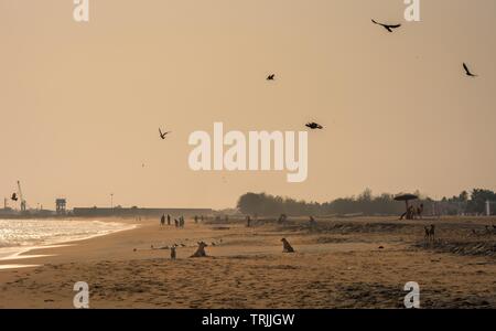 Quilon, Kerala, India - 17 Maggio 2019: Serata snap da Quilon Zona spiaggia Foto Stock