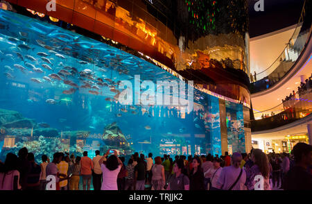 Dubai, Emirati Arabi Uniti - 1 Dicembre 2017: i popoli a guardare più grande acquario e pesci a Dubai Mall Foto Stock