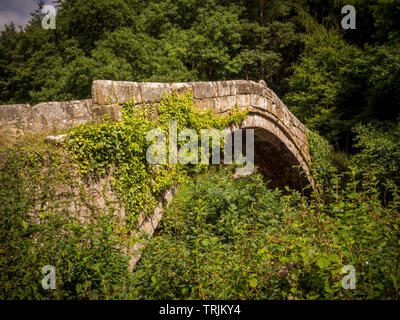 Beggar's ponte sopra il fiume Esk, Glaisdale, North Yorkshire Moors Foto Stock