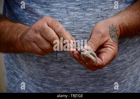 Tatuato mani dell'uomo infilaggio di un gancio di pesce con live calamari esca, pesca della spigola, la costa del Mare del Nord, Lincolnshire, Inghilterra, Regno Unito. Foto Stock