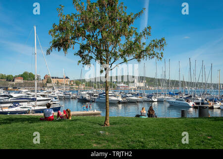 Marina di Oslo, vista in estate di yacht e barche ormeggiate nel porto turistico di Oslo city Harbour (Aker Brygge), Norvegia. Foto Stock