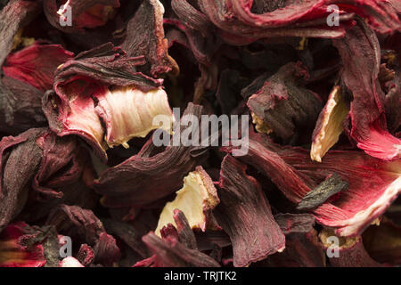 Carcade secco tè, creative texture di sfondo, rosso dei fiori di ibisco Foto Stock