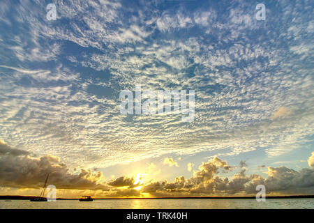 Estate alba sul lago Cootharaba vicino Boreen Point sulla costa del sole di Australia Foto Stock