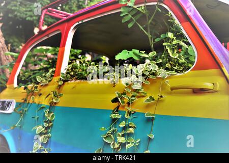 Un vecchio italiano Fiat 500 vettura dipinta nei colori dell'arcobaleno, sommerse in piante rampicanti, parcheggiato su un marciapiede. Foto Stock