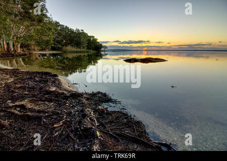 Estate alba sul lago Cootharaba vicino Boreen Point sulla costa del sole di Australia Foto Stock