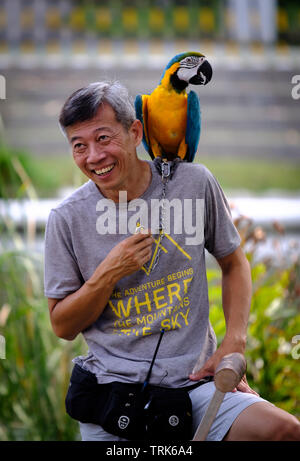 Singapore-23 MAR 2019：Uomo con pappagalli seduti sulla spalla in foresta Foto Stock