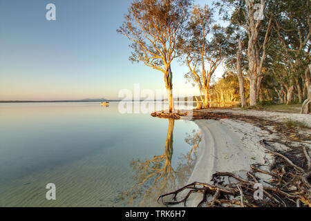 Estate alba sul lago Cootharaba vicino Boreen Point sulla costa del sole di Australia Foto Stock