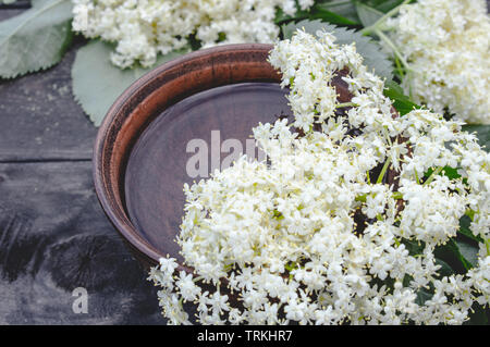 Fiori bianchi e foglie di sambuco giacciono su una ciotola su un rustico sfondo di legno. I fiori di Sambucus specie sono utilizzati per produrre lâ Elderflower co Foto Stock